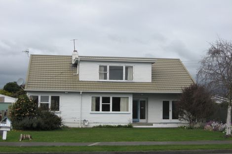 Photo of property in 12 Winchester Street, Levin, 5510
