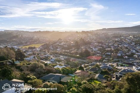 Photo of property in 45a Ann Street, Kaikorai, Dunedin, 9010