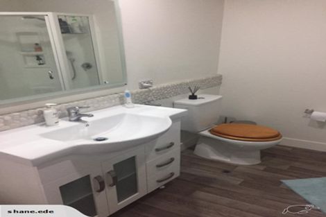 Photo of property in 46a Chester Street, Levin, 5510