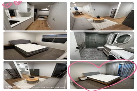 Photo of property in 9 Windsor Place, Windsor Park, Auckland, 0630