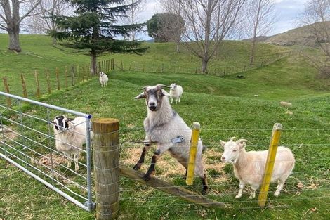 Photo of property in 1854 Dartmoor Road, Dartmoor, Napier, 4186