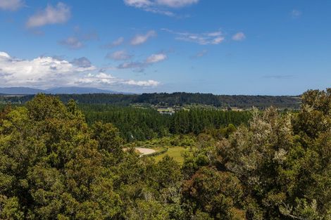 Photo of property in 8 Blue Spur Road, Blue Spur, Hokitika, 7882