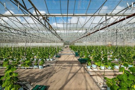 Photo of property in 1412 Dairy Flat Highway, Dairy Flat, Albany, 0794