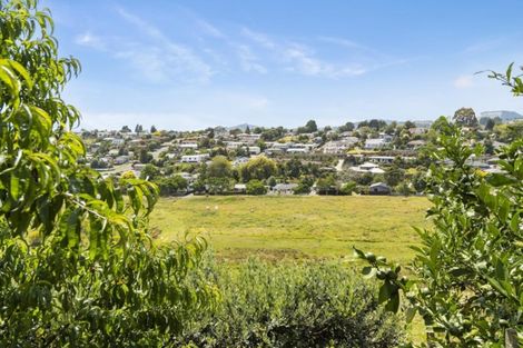 Photo of property in 44 Diamond Head, Hairini, Tauranga, 3112