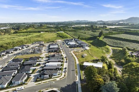 Photo of property in 89 Dunlop Road, Te Puke, 3119