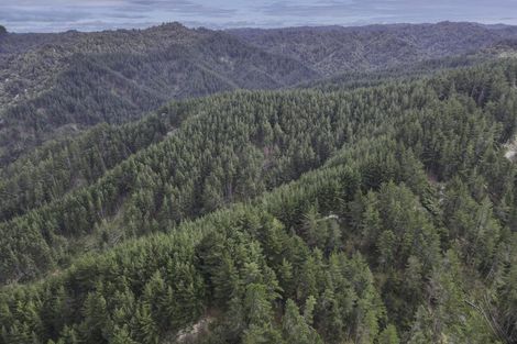 Photo of property in 3811 Waitotara Valley Road, Ngamatapouri, Whanganui, 4588