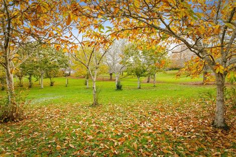 Photo of property in 246 State Highway 16, Kumeu, 0892