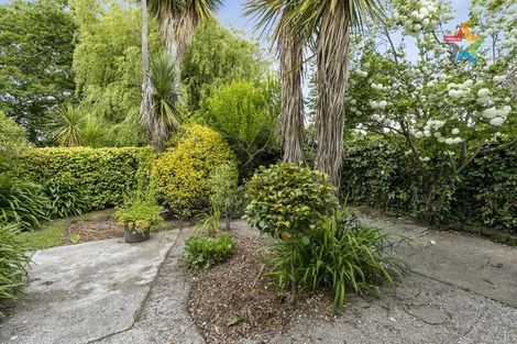 Photo of property in 28 Marina Grove, Hutt Central, Lower Hutt, 5010