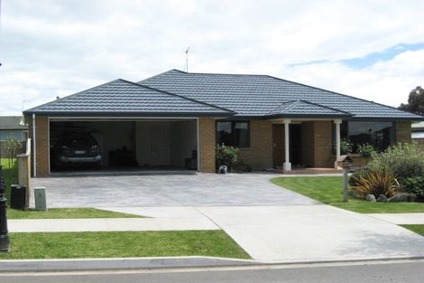 Photo of property in 4 Lester Place, Witherlea, Blenheim, 7201