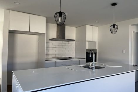 Photo of property in 55 Bonecrusher Street, Lincoln, 7608