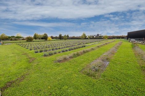 Photo of property in 59 Lanz Vale Lane, Huntingdon, Ashburton, 7774