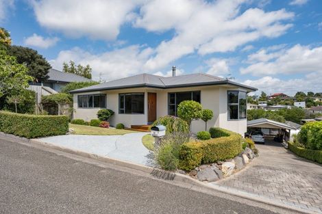 Photo of property in 17 Blair Terrace, Richmond, 7020