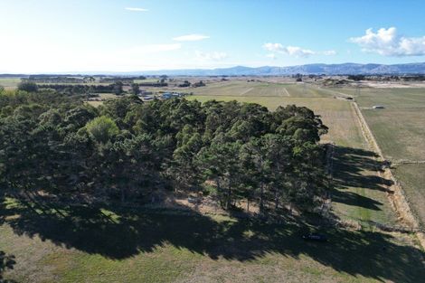 Photo of property in 270 Motuiti Road, Foxton, 4891