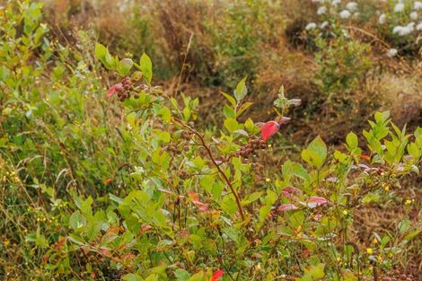 Photo of property in 790 Pungaere Road, Waipapa, 0295