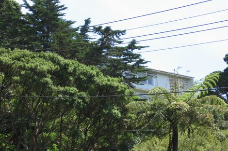 Photo of property in 62 Raroa Road, Kelburn, Wellington, 6012