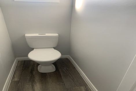 Photo of property in 207 Clyde Street, Hamilton East, Hamilton, 3216