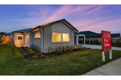 Photo of property in 31 Nellie Drive, Kumeu, 0810