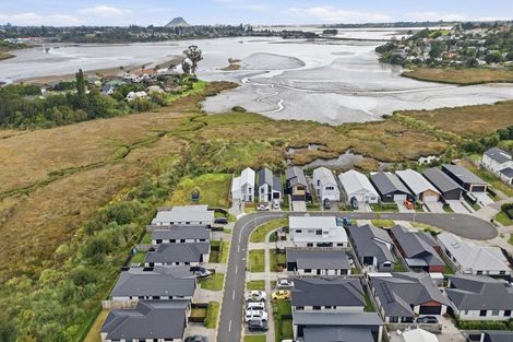 Photo of property in 16 Hinaki Street, Poike, Tauranga, 3112