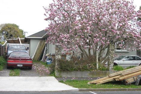 Photo of property in 20 Broadmore Street, Vogeltown, New Plymouth, 4310