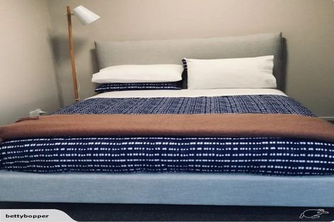 Photo of property in The Peak Apartments, 605/170 Taranaki Street, Te Aro, Wellington, 6011