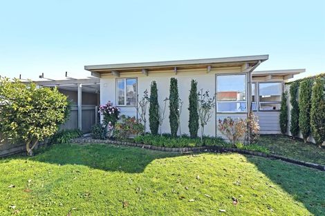 Photo of property in 3 Mchardy Street, Havelock North, 4130