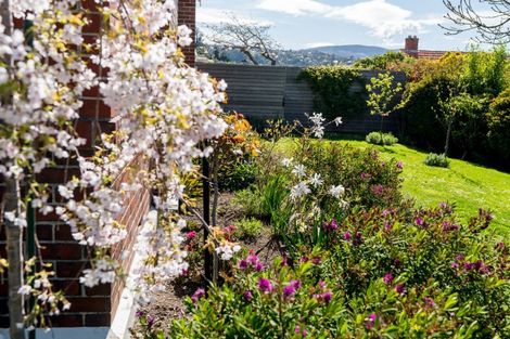 Photo of property in 15 Ings Avenue, Saint Clair, Dunedin, 9012