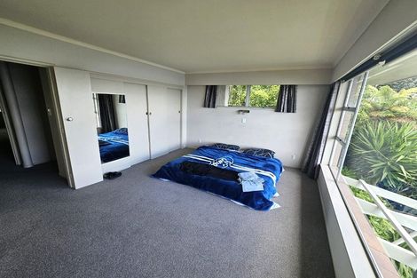 Photo of property in 52 Vine Avenue, Maungatapu, Tauranga, 3112