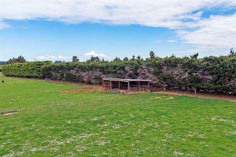 Photo of property in 499 Upper Sefton Road, Sefton, 7477