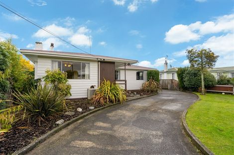 Photo of property in 39 Fergusson Street, Solway, Masterton, 5810