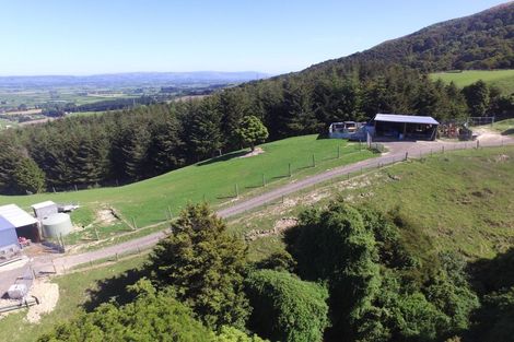 Photo of property in 160 Mann Road, Woodside, Outram, 9073