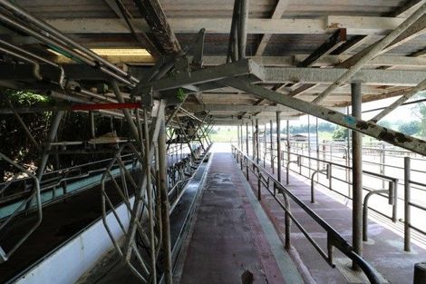 Photo of property in 399 Waotu South Road, Waotu, Putaruru, 3481