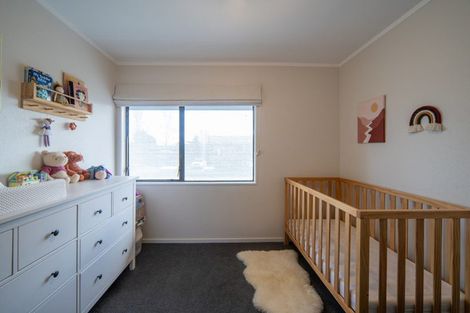 Photo of property in 45 Alison Street, Hamilton Lake, Hamilton, 3204