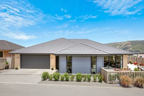 Photo of property in 169 John Burke Drive, Aotea, Porirua, 5024