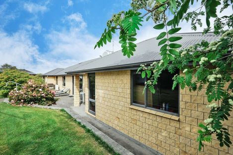 Photo of property in 119 Edinburgh Crescent, Waikiwi, Invercargill, 9810