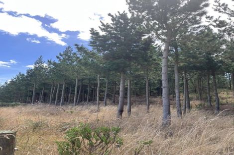 Photo of property in 1387 Santoft Road, Santoft, Bulls, 4894