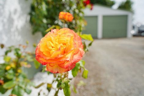 Photo of property in 22 Kakapo Street, Waikiwi, Invercargill, 9810