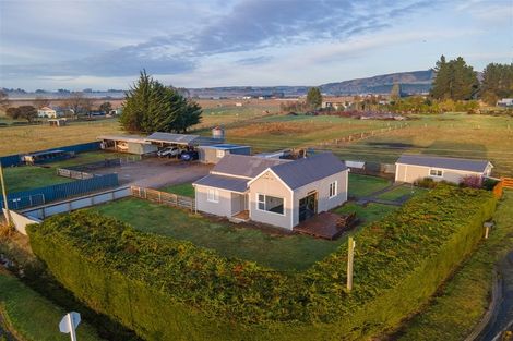 Photo of property in 130 Molloys Road, Waimate, 7980