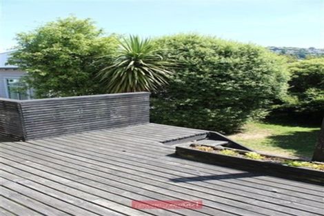 Photo of property in 33 Wales Street, Maori Hill, Dunedin, 9010