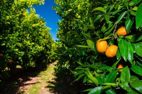 Photo of property in 1368 Lavenham Road, Waipaoa, Gisborne, 4071