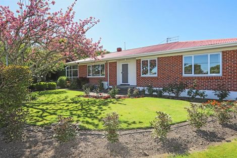 Photo of property in 32 Campbell Street, Havelock North, 4130