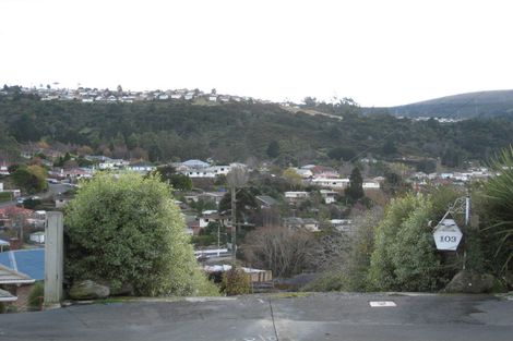 Photo of property in 103 Hocken Street, Kenmure, Dunedin, 9011