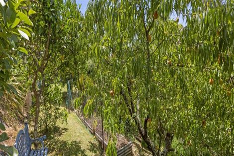 Photo of property in 13 Bay View Road, Raglan, 3225