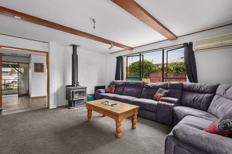 Photo of property in 17 Arnott Street, Alexandra, 9320