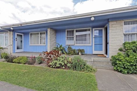 Photo of property in 303 Nelson Street South, Hastings, 4122