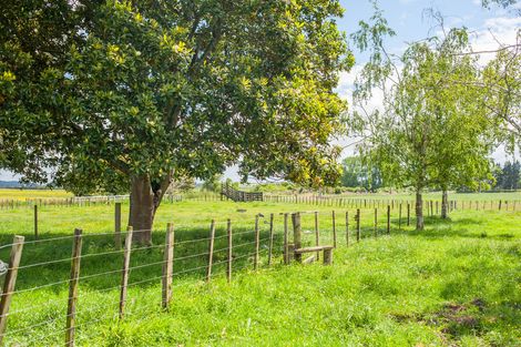 Photo of property in 221 Pokuru Factory Road, Pokuru, Te Awamutu, 3875