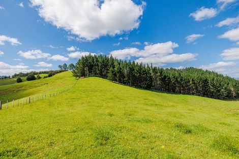 Photo of property in 52 Tuiglen Place, Glenbervie, Whangarei, 0173