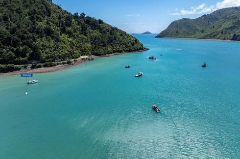 Photo of property in 11 Okiwi Crescent, Okiwi Bay, French Pass, 7193