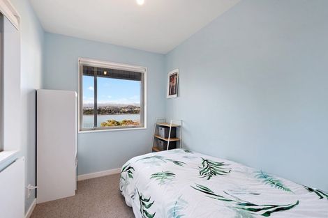 Photo of property in 19 Rewa Road, Hataitai, Wellington, 6021