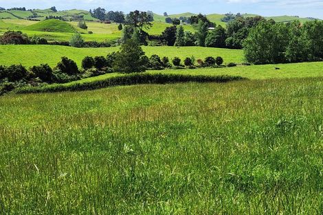 Photo of property in 369 Tarata Road, Norfolk, 4387