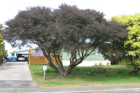 Photo of property in 106 Aberdeen Place, Whangamata, 3620